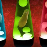 Image for the Childrens programme "Small Potatoes"