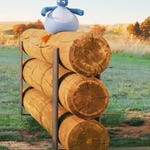 Image for the Childrens programme "Twirlywoos"