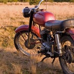 Image for episode "Surrey" from Documentary programme "Shed and Buried"