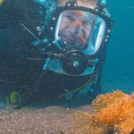 Image for Nature programme "Deadly 60"