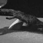 Image for the Film programme "The Monkey's Paw"