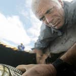 Image for episode "Jurassic-Sized Prehistoric Terror" from Nature programme "River Monsters"