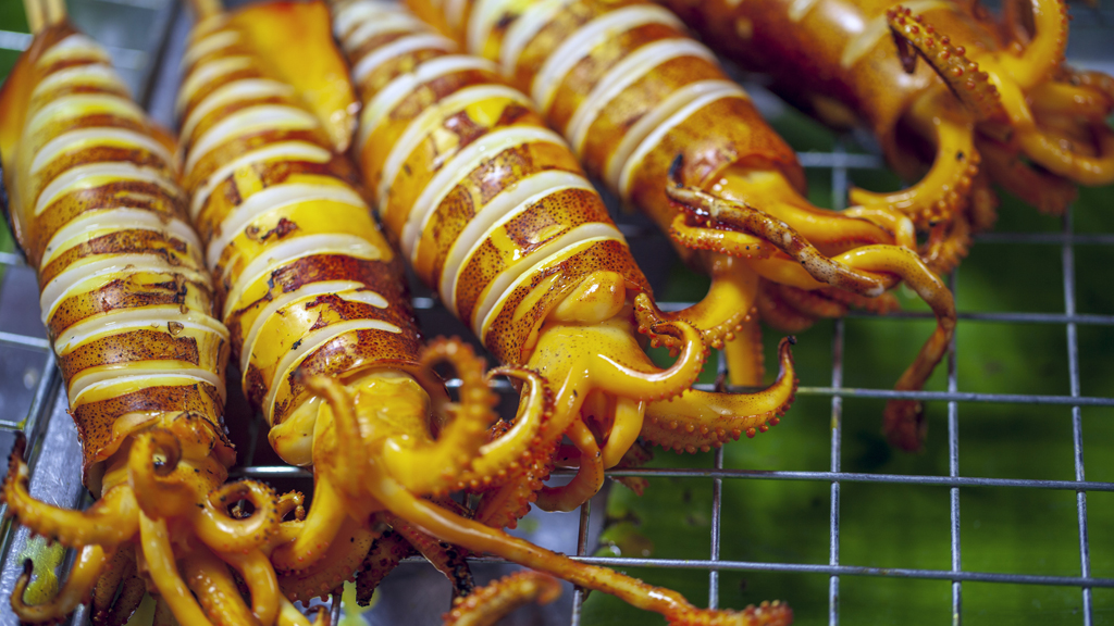 Gordon's Great Escape - TV Show Poster