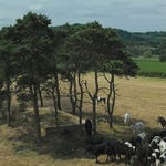 Image for Nature programme "Countryfile"