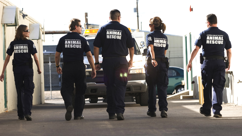 Animal Cops Phoenix Episode 15