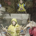 Image for the Documentary programme "Deadliest Catch"