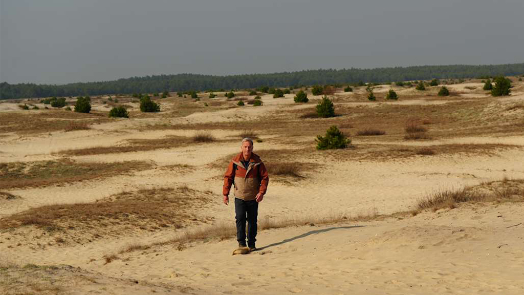 Robson Green: World's Most Amazing Walks - TV Show Poster