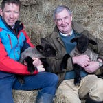 Image for the Documentary programme "The Yorkshire Vet"