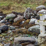 Image for the Nature programme "Ag Triall ar an Tobar"