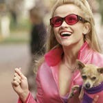 Image for the Film programme "Legally Blonde"