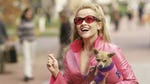 Image for the Film programme "Legally Blonde"