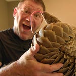 Image for Nature programme "Deadly 60"