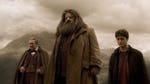 Image for the Film programme "Harry Potter and the Half-Blood Prince"