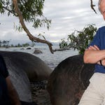 Image for episode "Builders" from Nature programme "Great Barrier Reef with David Attenborough"
