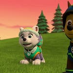 Image for the Childrens programme "Paw Patrol"