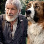 Image for the Film programme "The Call of the Wild: Dog of the Yukon"