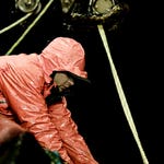 Image for Documentary programme "Deadliest Catch"