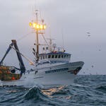 Image for the Documentary programme "Deadliest Catch"