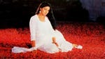 Image for the Film programme "Chandni"