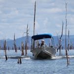 Image for episode "Vampires of the Deep" from Nature programme "River Monsters"