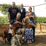 Image for the Entertainment programme "Dogs Behaving (Very) Badly"