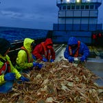 Image for Documentary programme "Deadliest Catch"