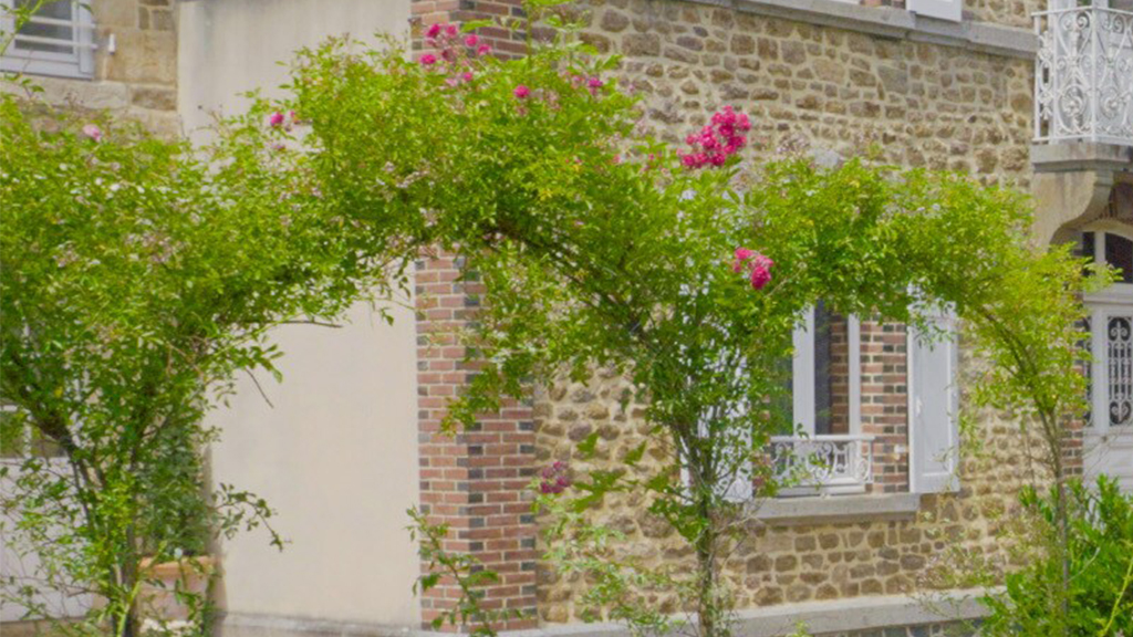 Chateau DIY: Win the Dream - TV Show Poster