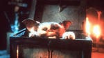 Image for the Film programme "Gremlins"