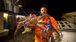 Image for the Documentary programme "Deadliest Catch"