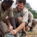 Image for the Nature programme "Animal Kingdom"