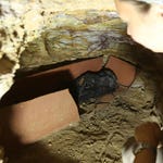 Image for the History Documentary programme "Secrets of Egypt's Valley of the Kings"