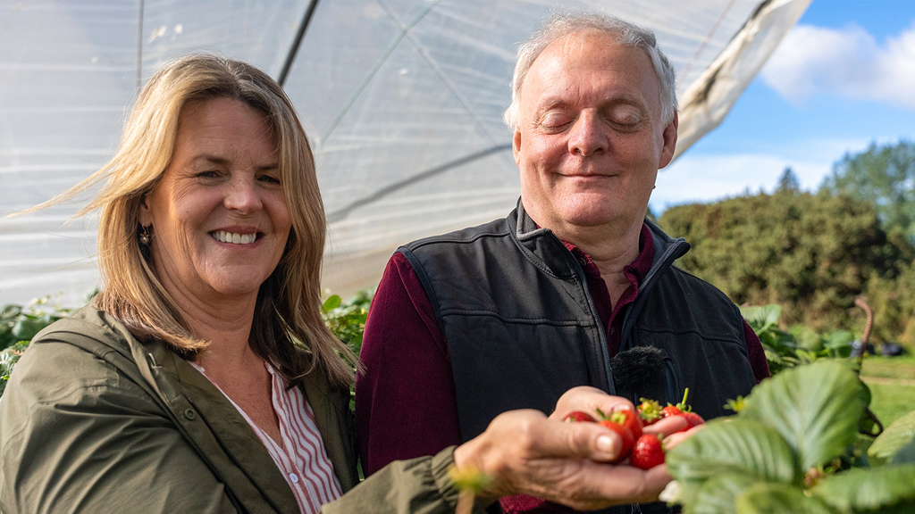 My Kind of Town TV Show promotional image