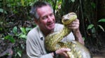 Image for the Nature programme "Wild Colombia with Nigel Marven"