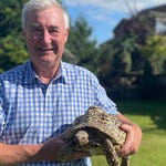 Image for the Documentary programme "The Yorkshire Vet"