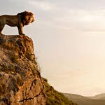 Image for the Film programme "The Lion King"