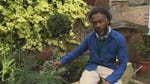 Image for episode "Tooting" from Gardening programme "The Instant Gardener"