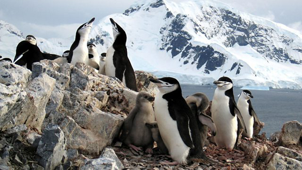 Planet Earth on Yesterday HD - 2:00am