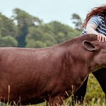 Image for the Nature programme "Animal Park"