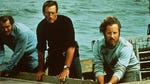 Image for the Film programme "Jaws"