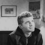 Image for the Film programme "Life in Danger"