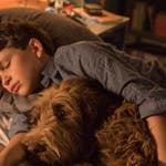 Image for the Film programme "Think Like a Dog"