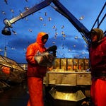 Image for Documentary programme "Deadliest Catch"