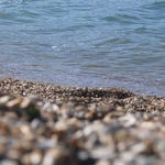 Image for the Documentary programme "Saving Lives at Sea"