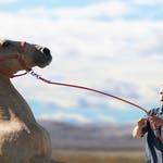 Image for the Film programme "The Mustang"