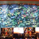 Image for the Documentary programme "Tanked"