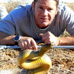 Image for Nature programme "Deadly 60"