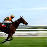 Image for Sport programme "ITV Racing Live"