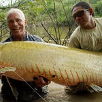 Image for Nature programme "River Monsters"
