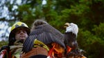 Image for the Documentary programme "Alaska Animal Rescue"