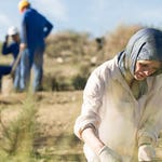 Image for the Drama programme "Silent Witness"